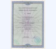 Квалификационный аттестат аудитора, Александр Михальцов