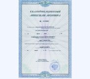 Аттестат аудитора первичный